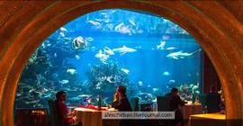 «Al Mahara» - потрясающий подводный ресторан