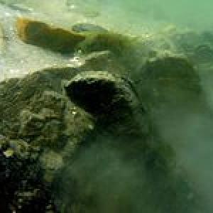 В водах Черного моря у берегов Севастополя найден античный корабль