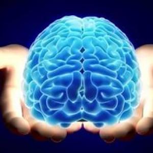 Ученые: мозг успешных людей имеет особое устройство
