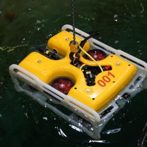 Подводный беоевой робот поступил на вооружение ВМФ России