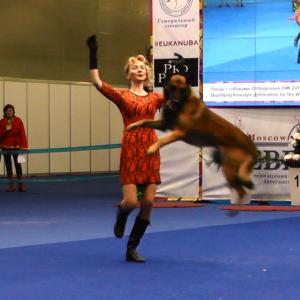 Впервые в Москве пройдет чемпионат мира танцев с собаками