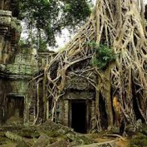 Гигантские затерянные города найдены в джунглях Камбоджи