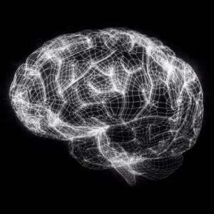 Ученые вырастили мини-мозг