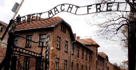 «Тайны мертвых: бомбардировка Освенцима»: новый документальный фильм PBS рассказал, почему союзники не бомбили Освенцим