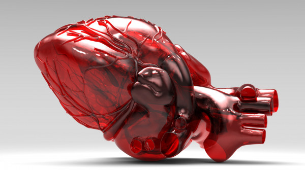печать на 3D принтере внутренних органов