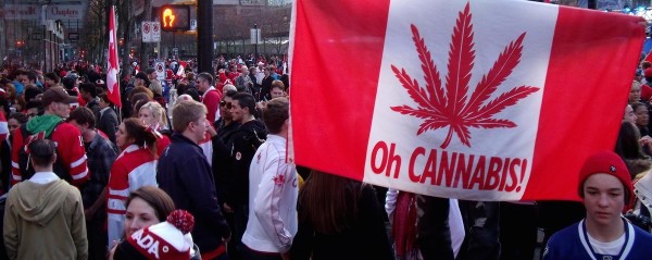 в канаде легализовали каннабис