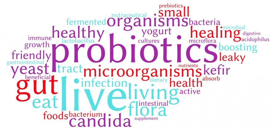 пробиотики 