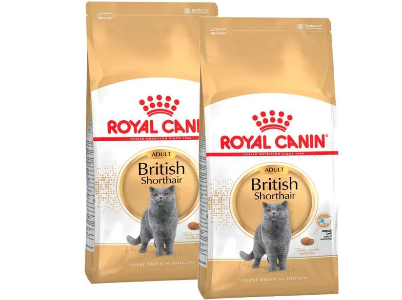 ROYAL CANIN BRITISH SHORTHAIR ADULT