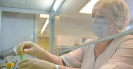 Новосибирские ученые разработали и проводят предклинические испытания лекарства от рака на основе одного из белков грудного молока