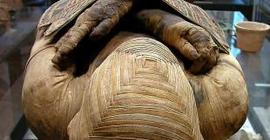 Найденные мумии в Перу с возрастом более тысячи лет