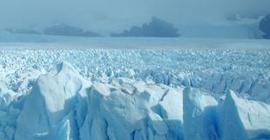 Таяние льдов в Арктике обосновано учеными