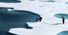 Толщина льда в Арктике значительно увеличивается с каждым годом
