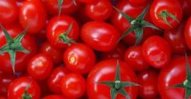 Польза томатов для здоровья женщин