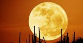 Исследователи: Ископаемые на Луне - источники метана