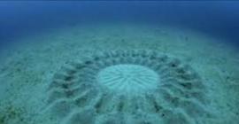 Ученые из Дании разгадали загадку «ведьминых кругов» на дне Балтийского моря.