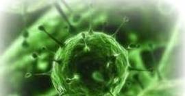 Найден 30-летний древний вирус