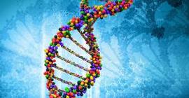 Ученые сделали большой скачок в сфере исследования генов