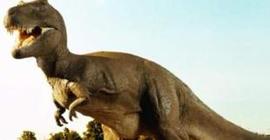 В Аргентине обнаружили самого большого динозавра