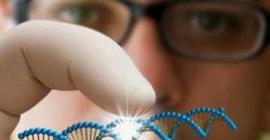 Победа над «чумой XXI века»: генетики научились удалять ВИЧ из ДНК