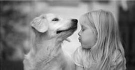 Ученые: «поцелуй» собаки полезен для здоровья человека