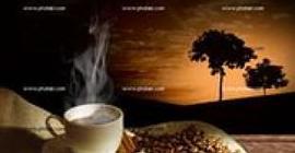 Употребление кофе предотвращает развитие рака печени