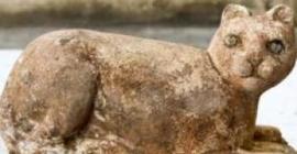 Ученые утверждают, что треть мумий животных в Египте оказались подделкой