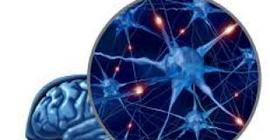 Ученые объяснили зависимость шизофрении от нейронов