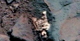 На Марсе обнаружили останки таинственного существа (Фото)