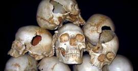 Немецкие археологи обнаружили жертв доисторического массового убийства