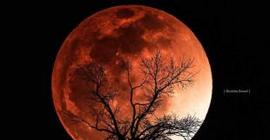 NASA успокаивает: «кровавая» Луна — это не конец света (Видео)