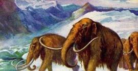 Ученые раскрыли тайну вымирания мамонтов