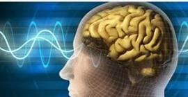 Ученые: человеческий мозг способен определять расстояния по слуху