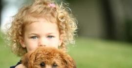 Учёные: домашние животные снижают риск развития астмы у ребёнка