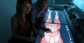 Ученые могут напечатать на 3D-принтере любой орган человека