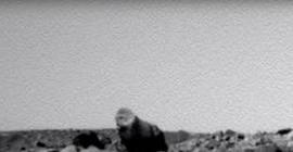 По Марсу ходят гориллы и верблюды (Видео)