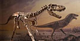В Японии найден седьмой динозавр
