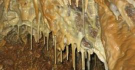 В пещере Красноярском крае обнаружили природные антибиотики