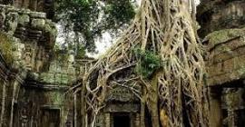 Гигантские затерянные города найдены в джунглях Камбоджи
