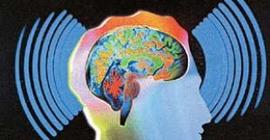 Учёные объяснили способность мозга предвидеть