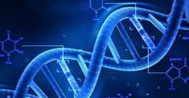 Российские ученые вылечили рак с помощью ДНК