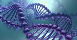 Гены человека изменят для борьбы с раком