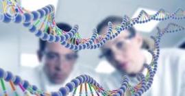 Ученые нашли ген, выключение которого увеличивает продолжительность жизни на 60%
