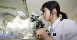Китайские ученые сообщили о создании вакцины от вируса Зика