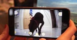 Хозяин сможет общаться с домашним псом через смартфон