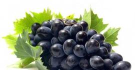 Ученые: Виноград защищает кожу от рака