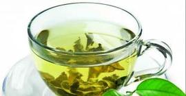Доказана эффективность зеленого чая в борьбе с раком костного мозга