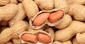 Исследование: арахис снижает риск сердечно-сосудистых заболеваний