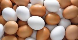 Ветеринары сравнили белые яйца с коричневыми