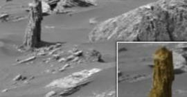 На снимке с Марса обнаружили пенек окаменевшего дерева