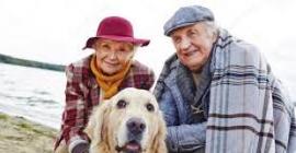 Общение с собаками улучшает здоровье престарелых людей — Ученые